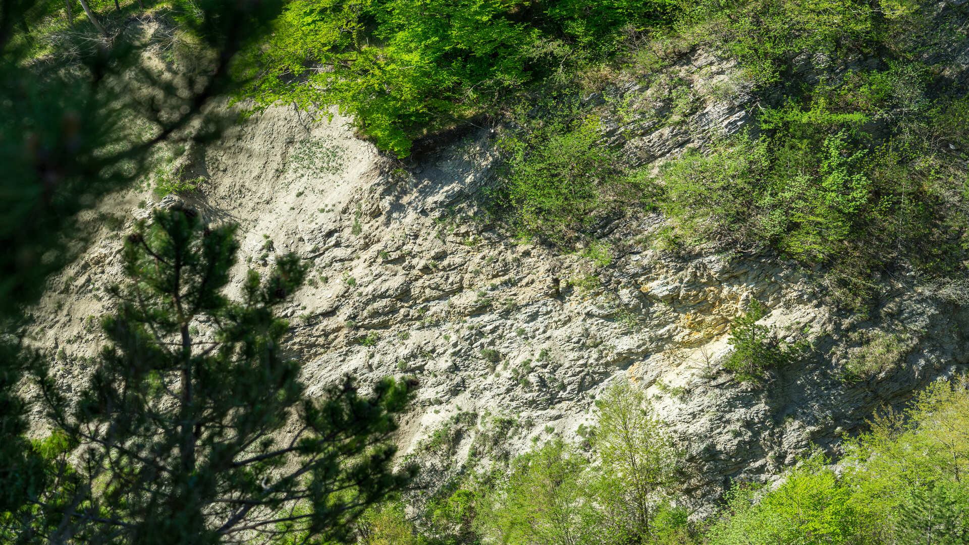 Vallone rio Borrello a Castelpetroso